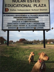 PITBECKSchoolSign